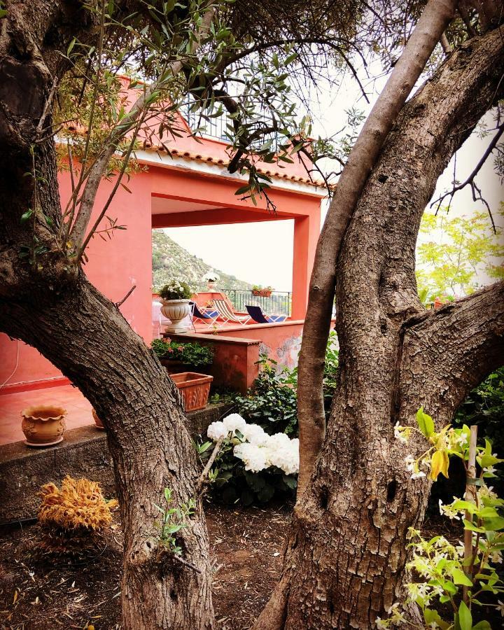 Villa Le Petit Paradis Taormine Extérieur photo